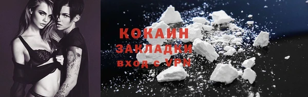 гидра Усмань