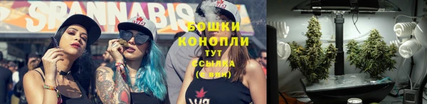 гидра Усмань