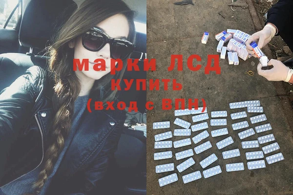 гидра Усмань