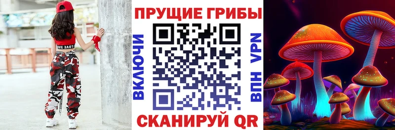 Купить  Верхняя Пышма  Галлюциногенные грибы Cubensis 